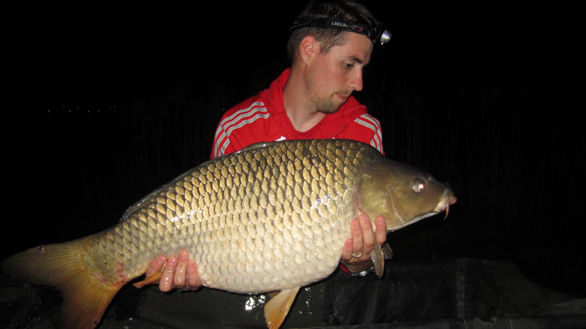 Harsany 1 - 5 mai. - img2678.JPG